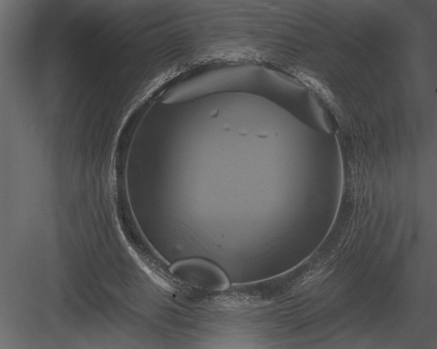 X0000084010630200702232205