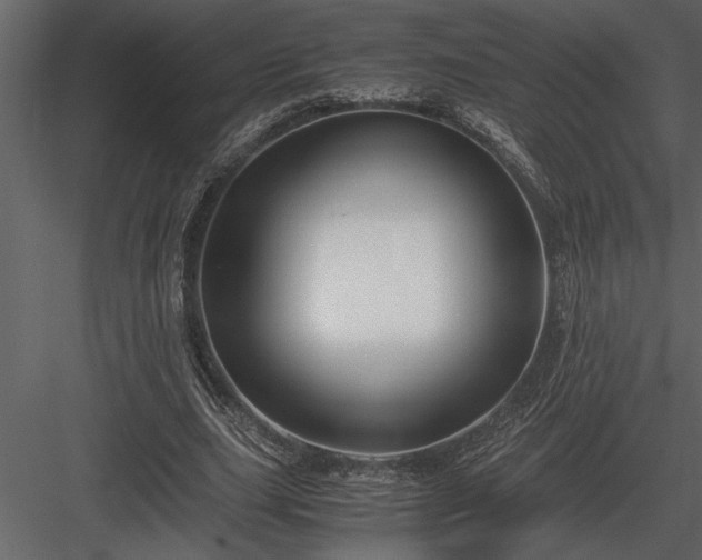 X0000084010631200702232205