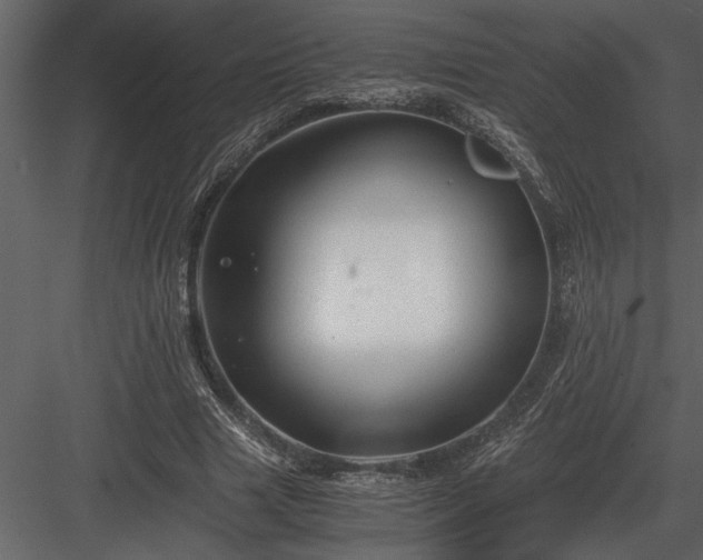 X0000084010633200702232205