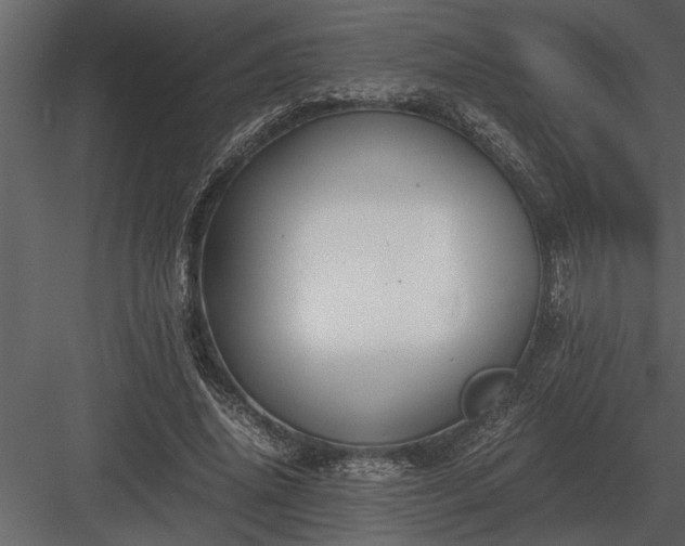 X0000084010636200702232205