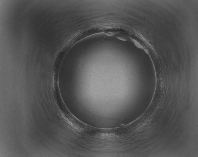 X0000084010637200702232205