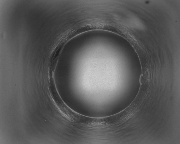 X0000084010638200702232205