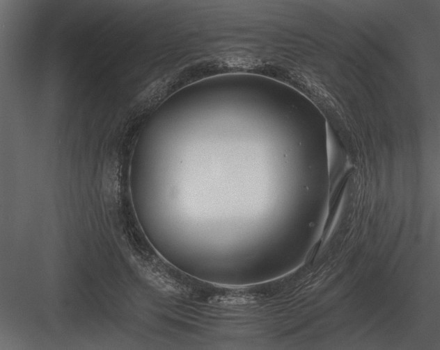 X0000084010639200702232205