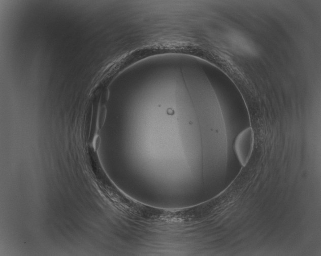 X0000084010640200702232205