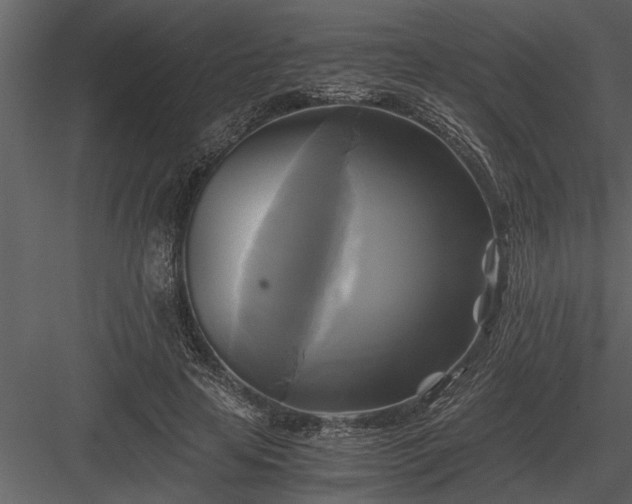 X0000084010641200702232205