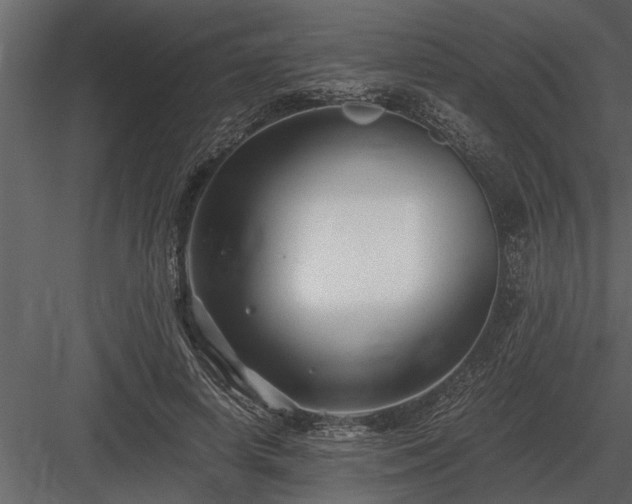 X0000084010642200702232205