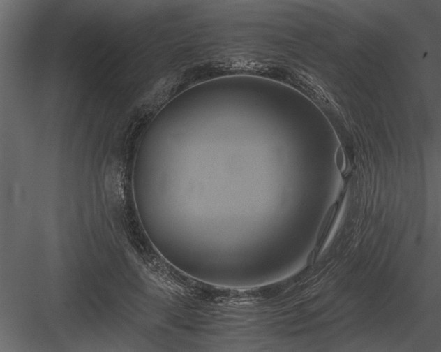 X0000084010643200702232205