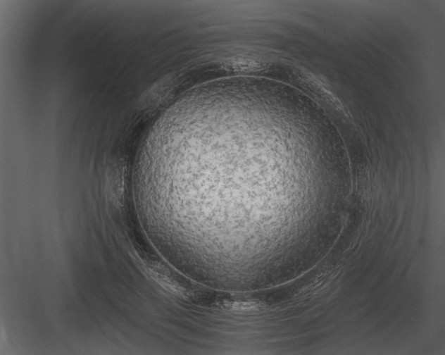 X0000084010645200702232205