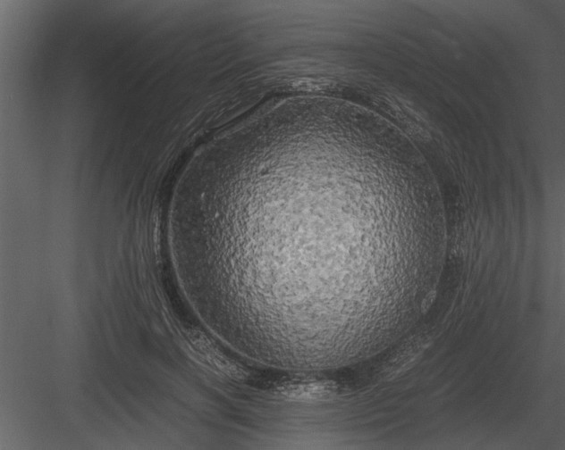 X0000084010646200702232206