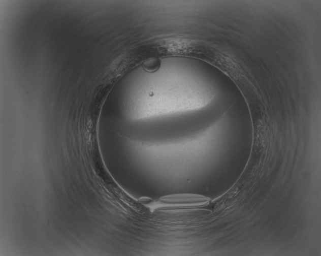 X0000084010650200702232206