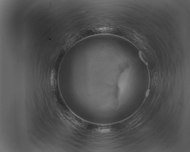 X0000084010651200702232206