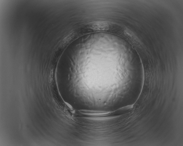 X0000084010652200702232206