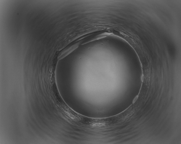 X0000084010653200702232206