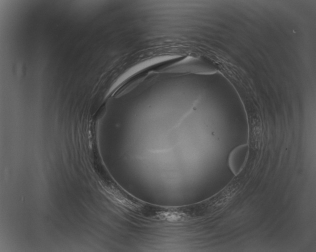 X0000084010654200702232206