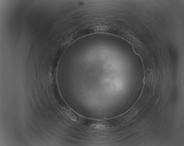 X0000084010655200702232206