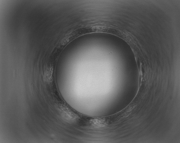 X0000084010660200702232206