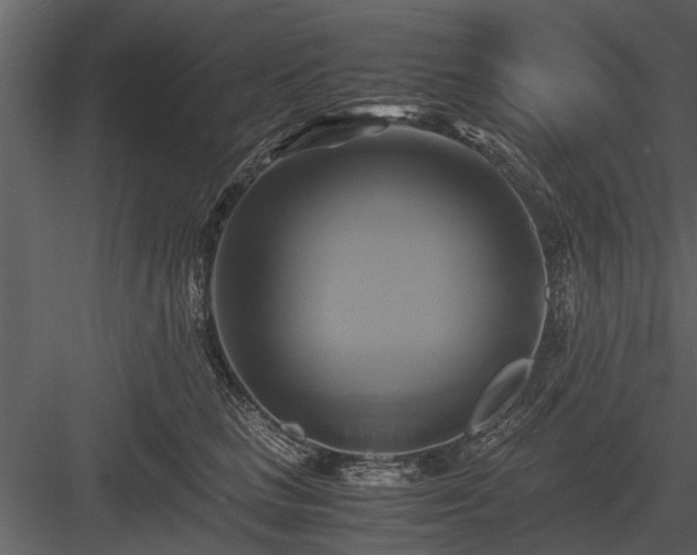 X0000084010661200702232206