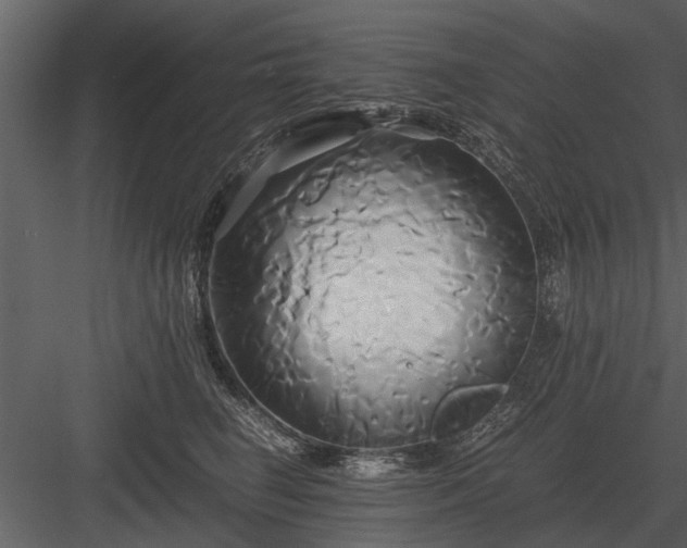 X0000084010662200702232206