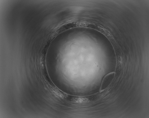 X0000084010663200702232206