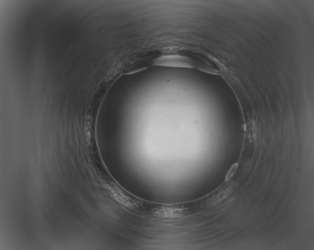 X0000084010664200702232206