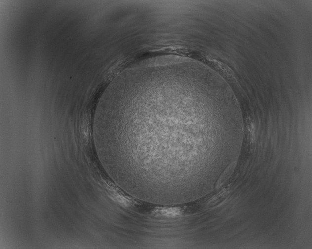 X0000084010665200702232206