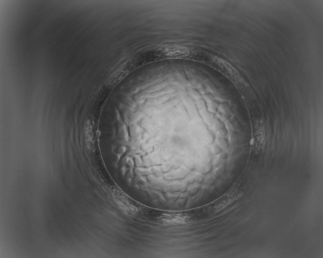 X0000084010667200702232206