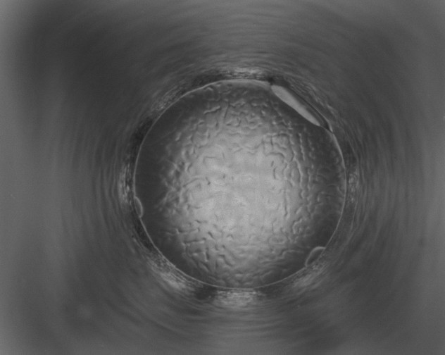 X0000084010671200702232206