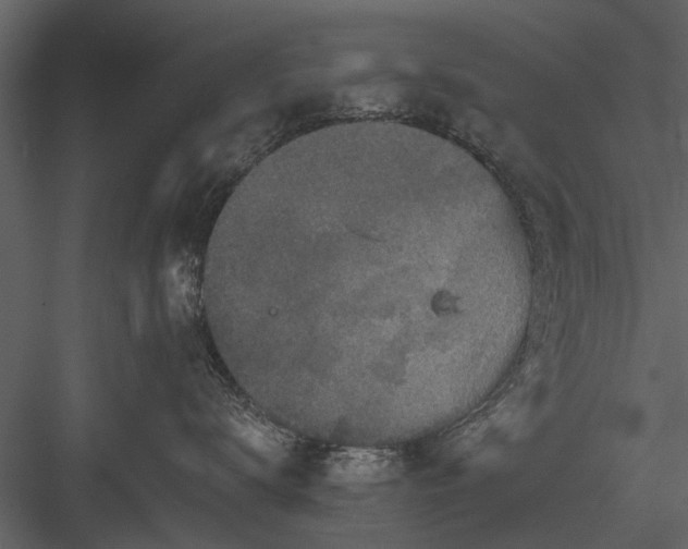 X0000084010672200702232206