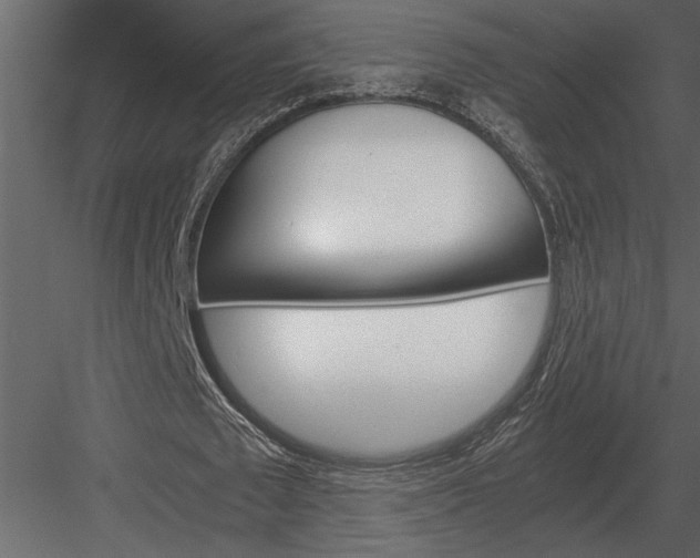 X0000084010673200702232205