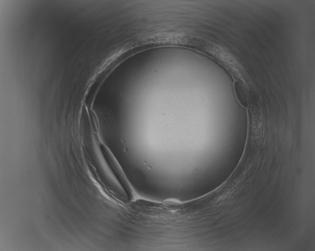 X0000084010674200702232205