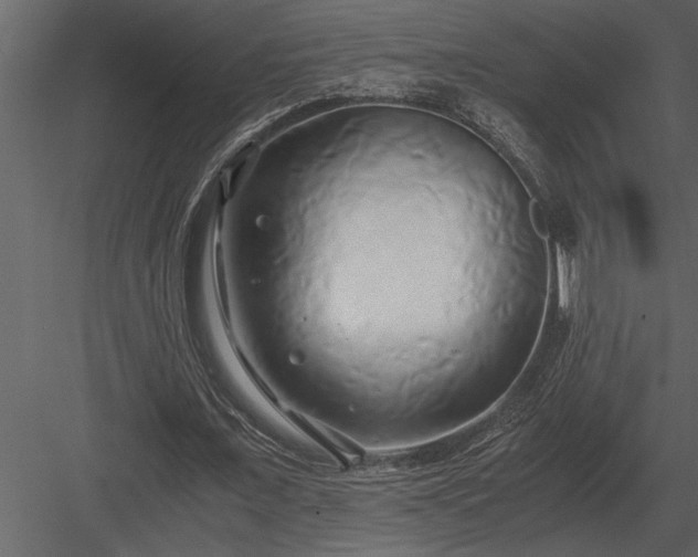 X0000084010675200702232205