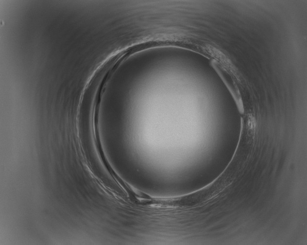 X0000084010676200702232205