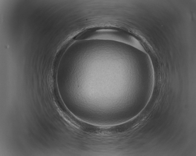 X0000084010677200702232205