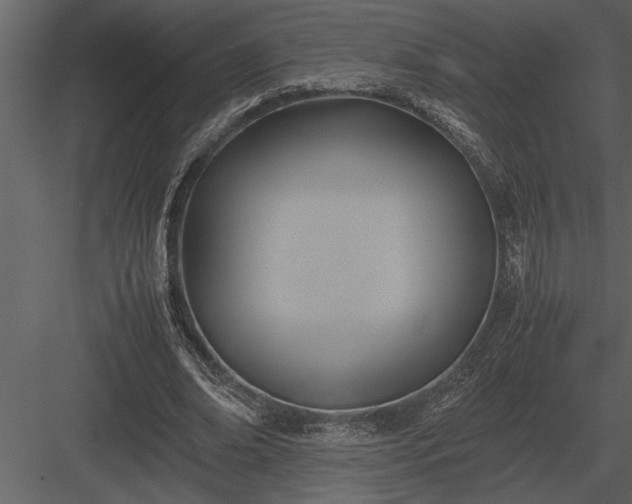 X0000084010678200702232205