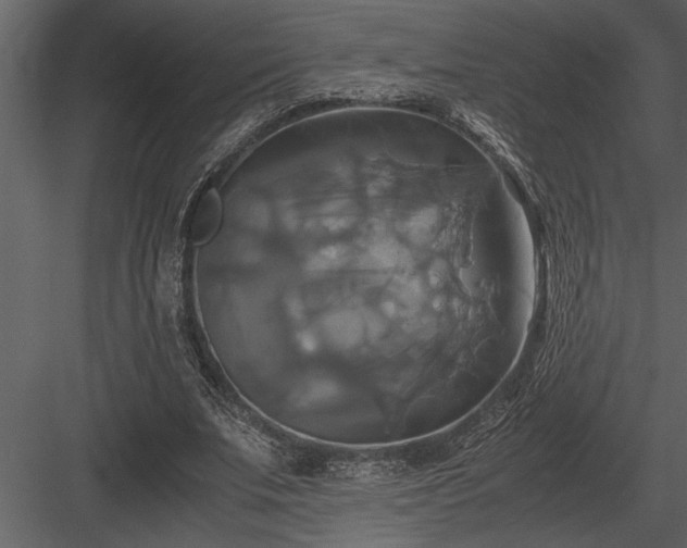 X0000084010679200702232205