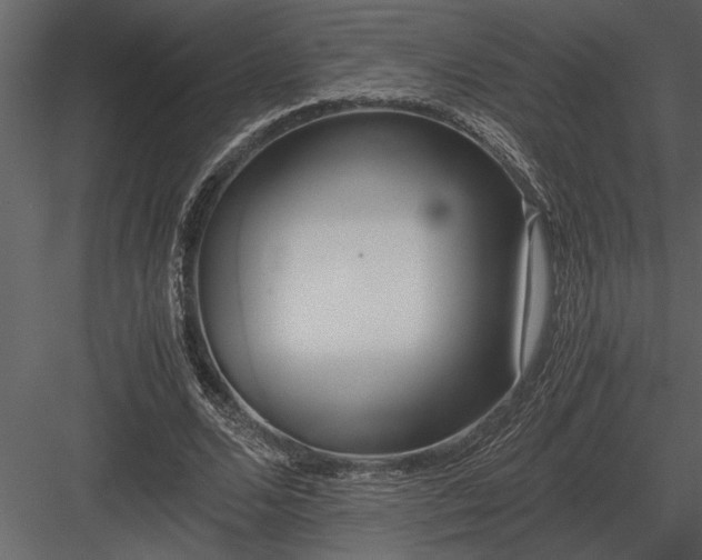 X0000084010680200702232205