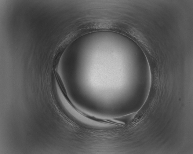 X0000084010681200702232205