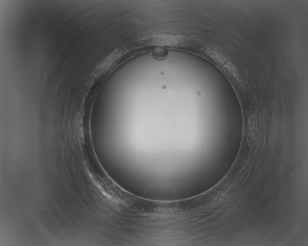 X0000084010682200702232205