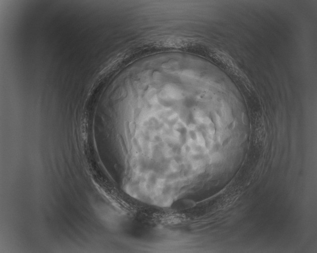 X0000084010683200702232205