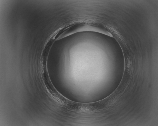 X0000084010684200702232205