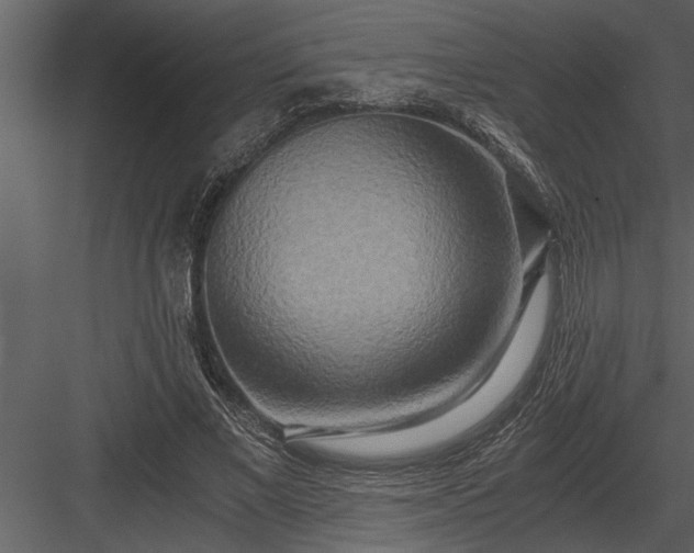 X0000084010685200702232205