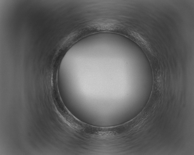 X0000084010686200702232205