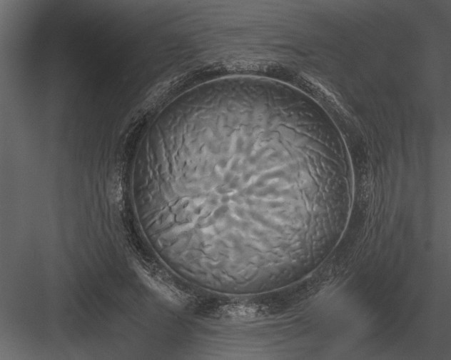 X0000084010687200702232205