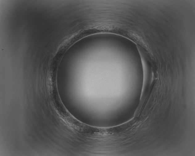 X0000084010688200702232205