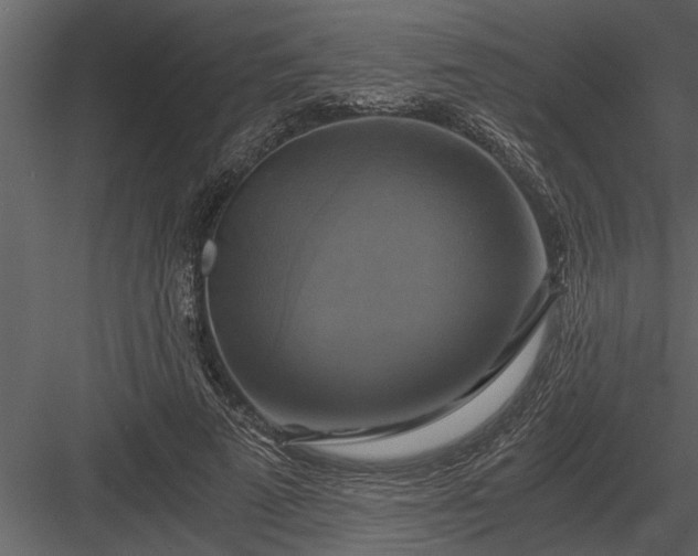 X0000084010689200702232205