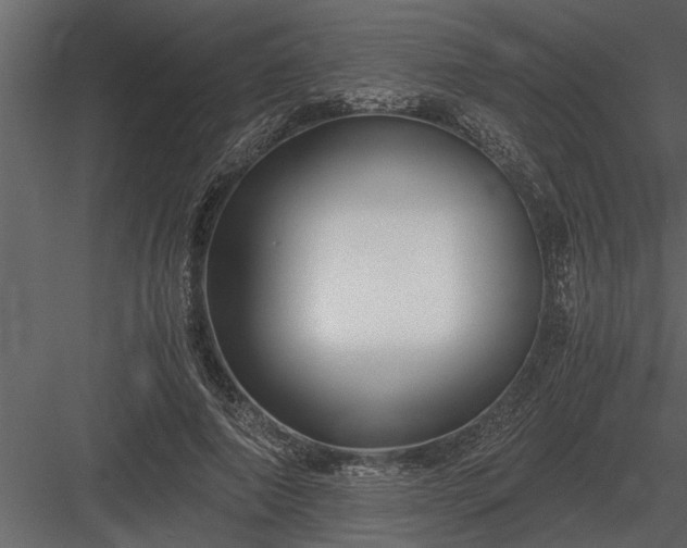 X0000084010690200702232205