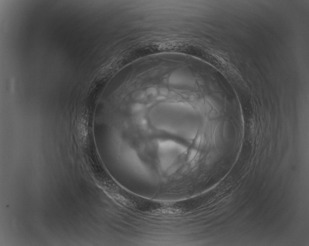 X0000084010691200702232205