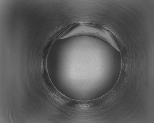 X0000084010692200702232205