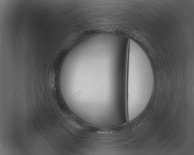 X0000084010693200702232205