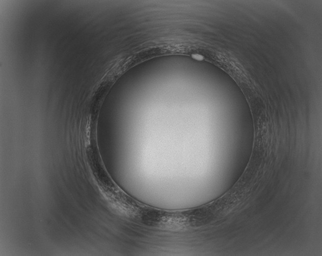 X0000084010694200702232205